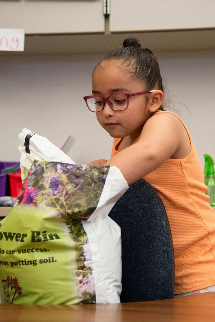 Kindergarten student at Prairie Ridge planting seeds  